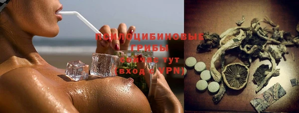 дурь Вяземский