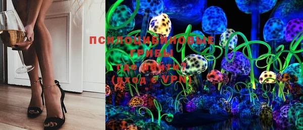 дурь Вяземский