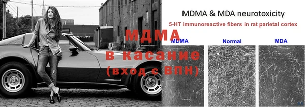 мяу мяу мука Вязники